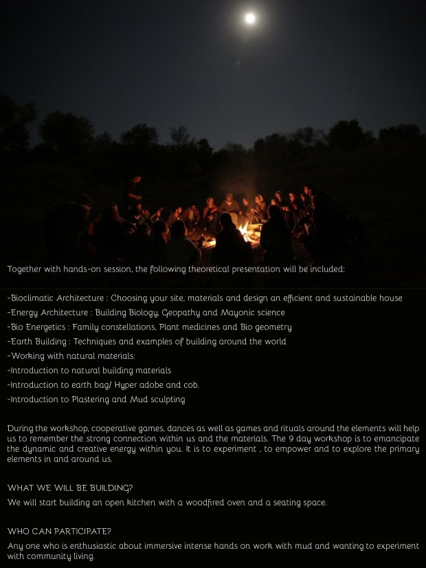 pune poster final-03